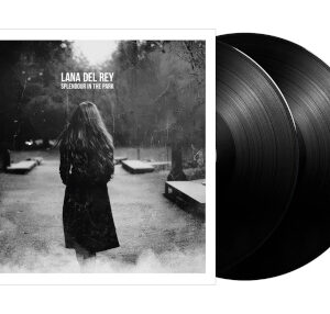 Splendour in The Park (2 LP Black Vinyl)
