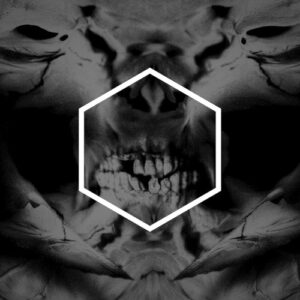 Other (2 LP Vinyl)