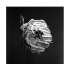 An Empire (2 LP Vinyl)