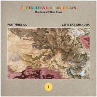 The Endless Coloured Ways: The Song