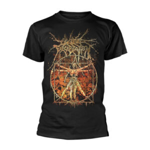 T/S Vitruvian (M)