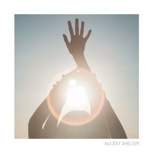 Shelter (Ltd LP Silver box with bonus 7 inch)