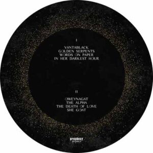 Here Now, There Then (Picture Disc)