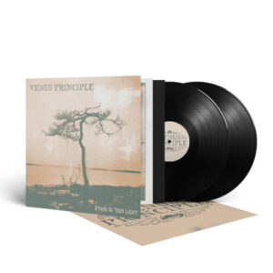 Stand In Your Light (Black Vinyl 2 LP)