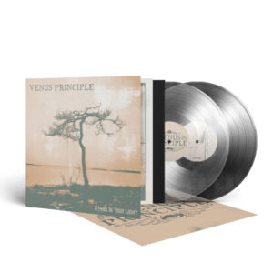 Stand In Your Light (Crystal Clear Vinyl 2 LP)