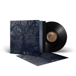 By The Shadows (Black Vinyl LP)