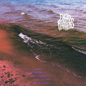 Full Circle (Vinyl LP)