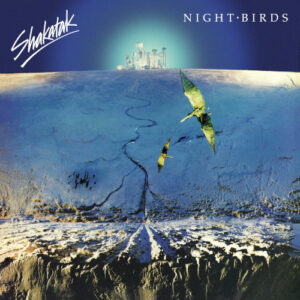Night Birds (Gold Vinyl LP)