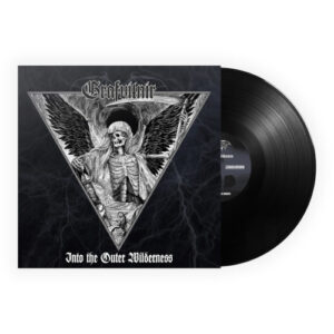 Into the Outer Wilderness (Vinyl LP)