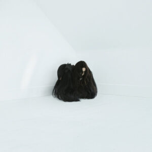 Hiss Spun (2 LP Vinyl)