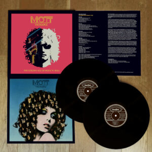 Golden Age of Rock 'n' Roll The (2 LP Vinyl)