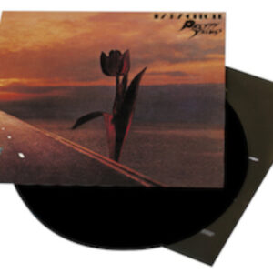 Parachute (Vinyl LP)