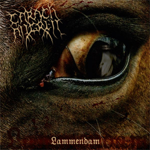 Lammendam (Reissue)