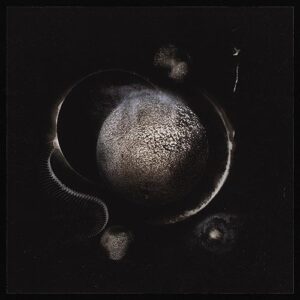 Cold Black Suns (Digipack)