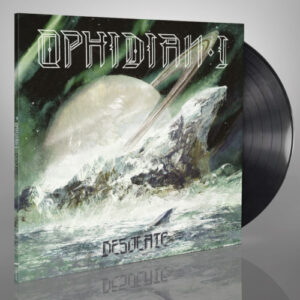 Desolate (Black Vinyl LP)