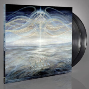 Ascension Codes (2 LP Black Vinyl)