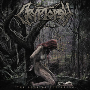 Book of Suffering The - Tome I