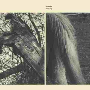 Wild Dog (Vinyl LP)