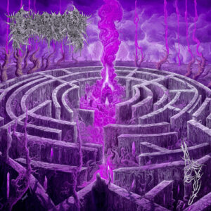 Maze Envy