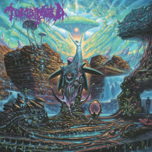 Enduring Spirit The (Vinyl LP)