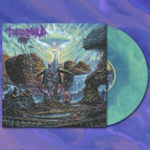Enduring Spirit The (Green/Baby Blue Vinyl LP)