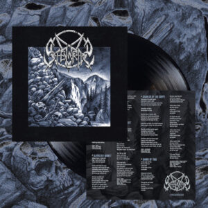 Steinras (Vinyl LP)
