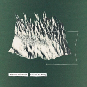 Sounds So Wrong (White Vinyl LP)