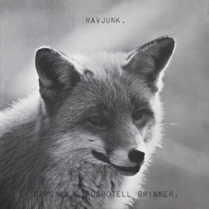 Uppsala Stadshotell Brinner (Vinyl LP)