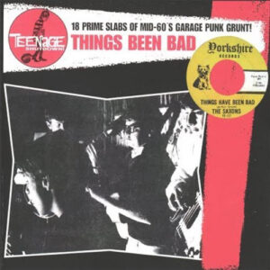 Teenage Shut Down - Things Been Bad (Vinyl LP)