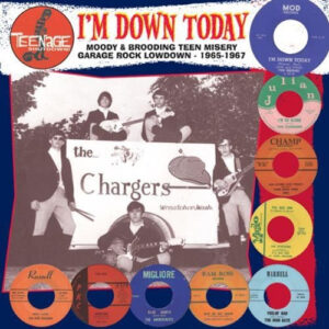 Teenage Shut Down - I'm Down Today (Vinyl LP)