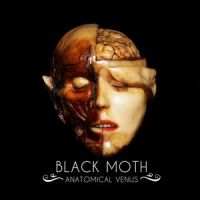 Anatomical Venus (vinyl)