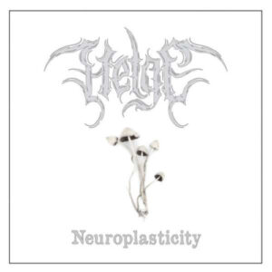 Neuroplasticity
