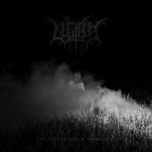 Inextricable Wandering (2 LP Vinyl)