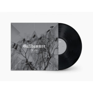 End The (Vinyl LP)