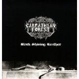 Black Shining Leather (Vinyl LP)