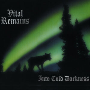 Into Cold Darkness (Vinyl LP)