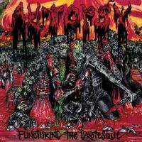 Puncturing The Grotesque (Vinyl LP)