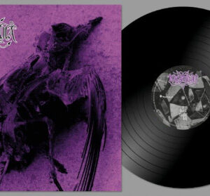 Brave Murder Day (Black Vinyl LP)