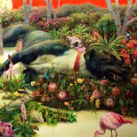 Feral Roots (vinyl)