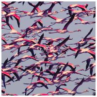 Gore (vinyl Ltd.)