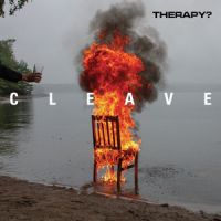 Cleave (vinyl)