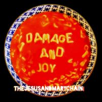 Damage And Joy (vinyl)