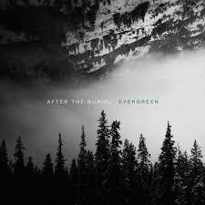 Evergreen (vinyl)