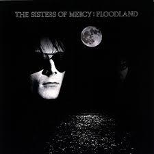 Floodland