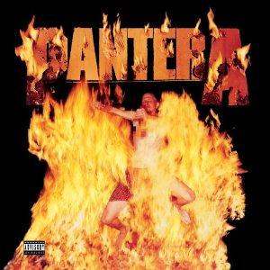 Reinventing The Steel (vinyl)