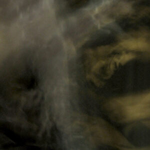 Fungi from Yuggoth