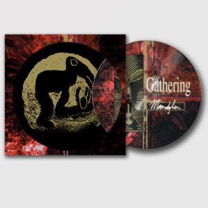 Mandylion (Picture Vinyl LP)
