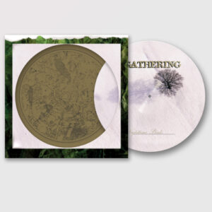 Nighttime Birds (Picture Vinyl LP)