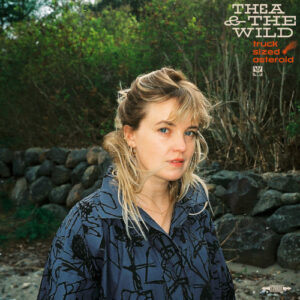 Truck Sized Asteroid (Vinyl LP)