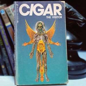 THE VISITOR
